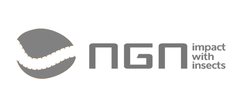 ngn insects